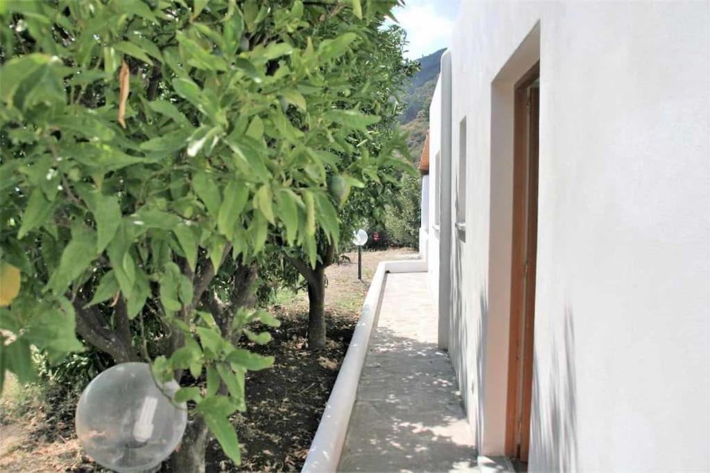 Casa Cavalluccio Marino - Terrazza Vista Mare Holiday home